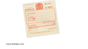How to apply birth certificate online and offline