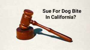 How Much Can You Sue For Dog Bite In California?