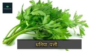 lauki ke kofte kaise banate hain recipe